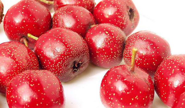 ɽ髵Ĺ�Ч������ ɽ��ʺ���Щ��Ⱥ